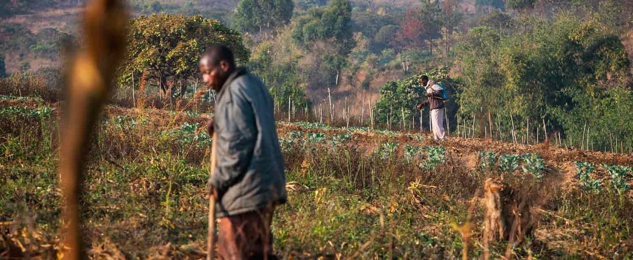 Tanzania: African Development Bank supports small horticultural businesses with $2.5 million grant